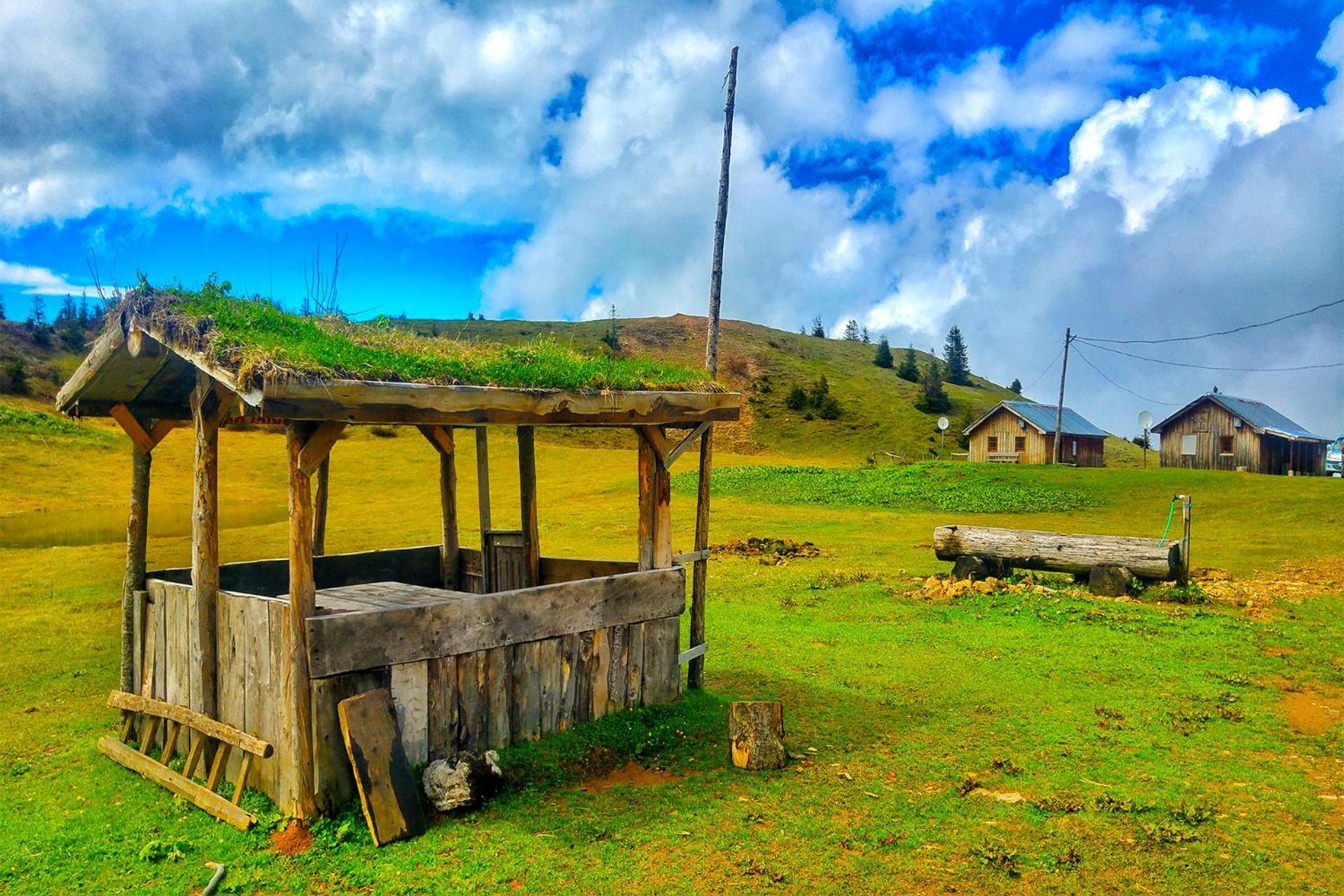 Relax Dag Evleri Rezistans Ayder Dikkaya  Ngoại thất bức ảnh